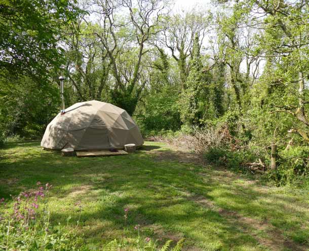 Geodesic Dome