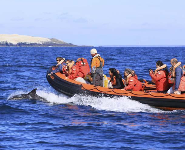 Wildlife boat trip